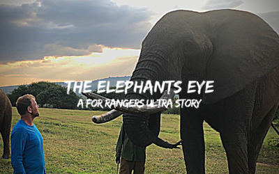 TRAILER: The Elephants Eye | A BTU For Rangers Story